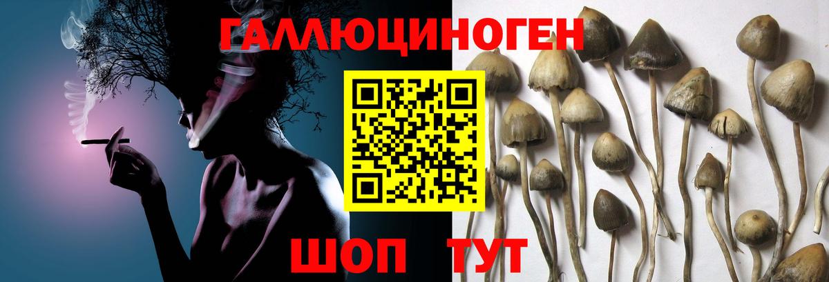 Галлюциногенные грибы MAGIC MUSHROOMS Котлас